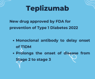Teplizumab : new emerging modalities in Type 1 Diabetes