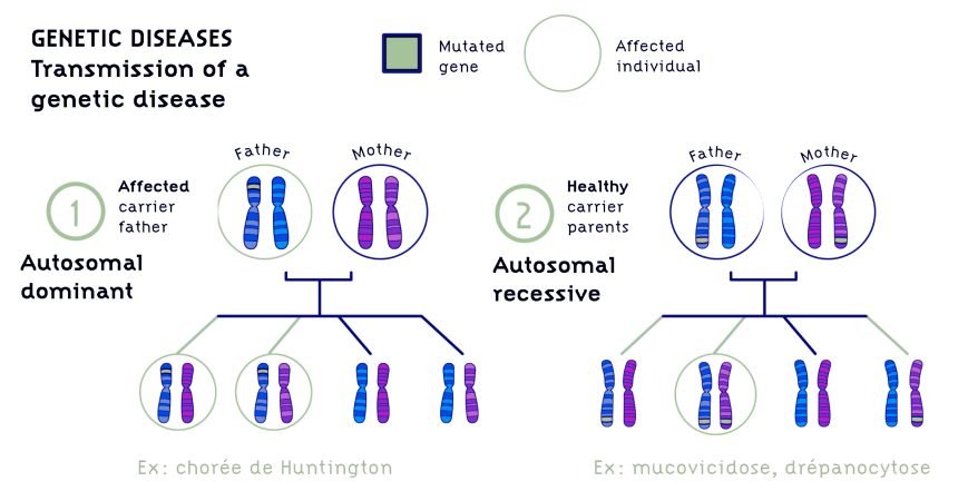 Genetic-disorders Genetic-disorders